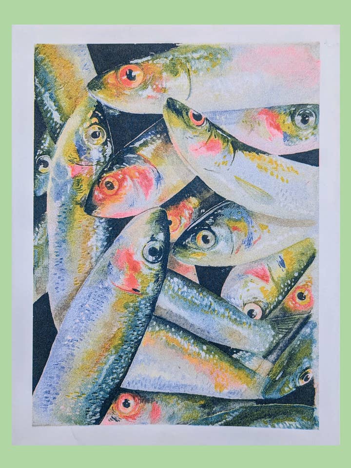 Watercolour Sardine Fish Pile | 8.5"x11" Risograph Print for wholesale by Christina Hu