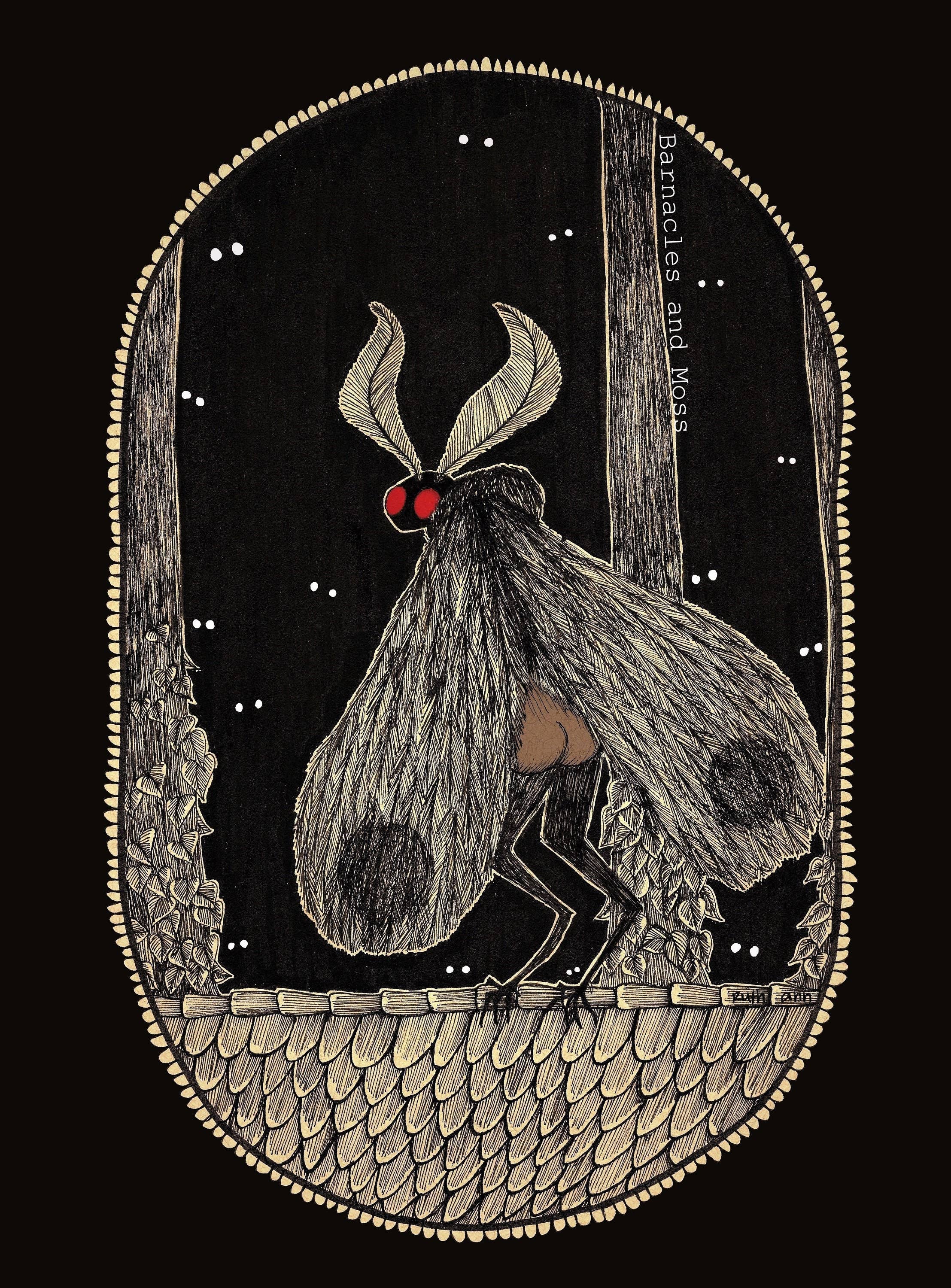 Barnacles and Moss - Wholesale Art Print - Mothman Booty Fine Art Print0