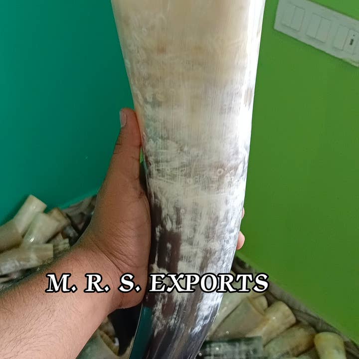 Cream High Quality Viking Drinking Horns At Affordable Prices for wholesale on Faire