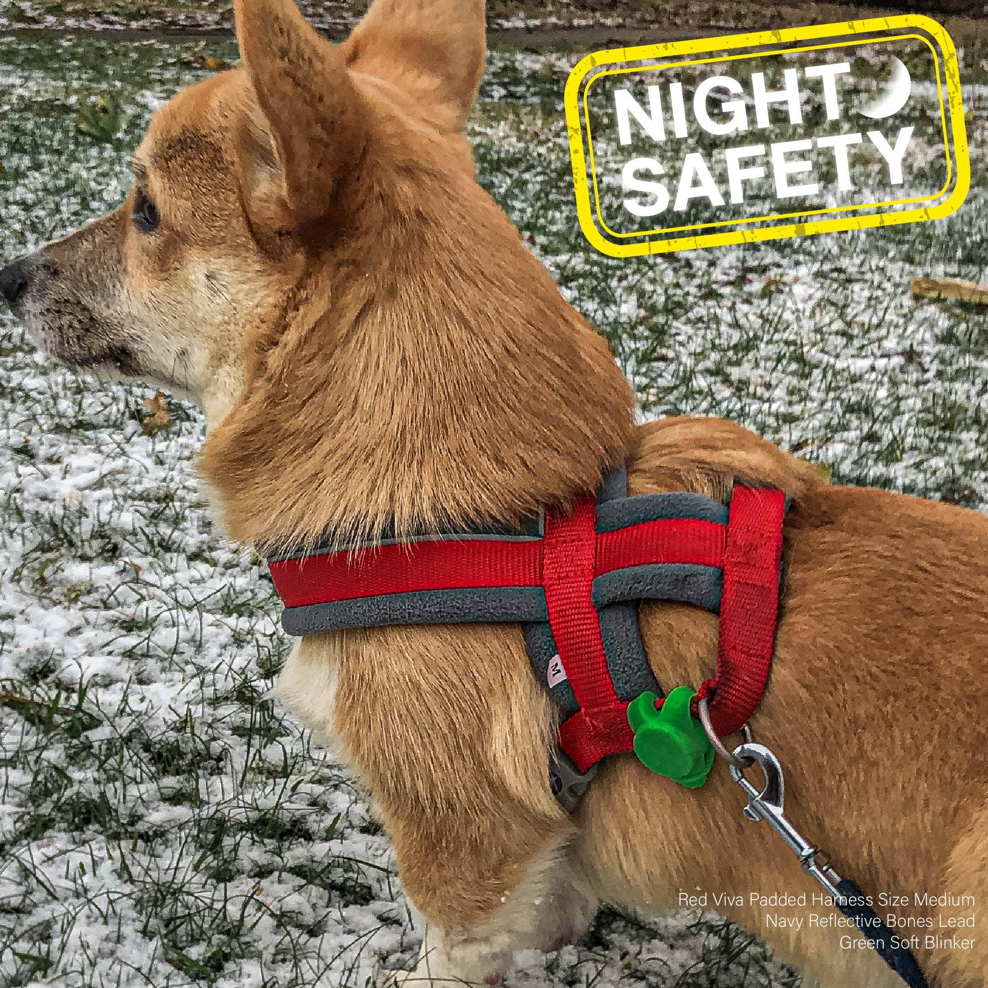 Ancol Pet Products Ltd - Wholesale Pet Collar - Dog - Soft Blinker9