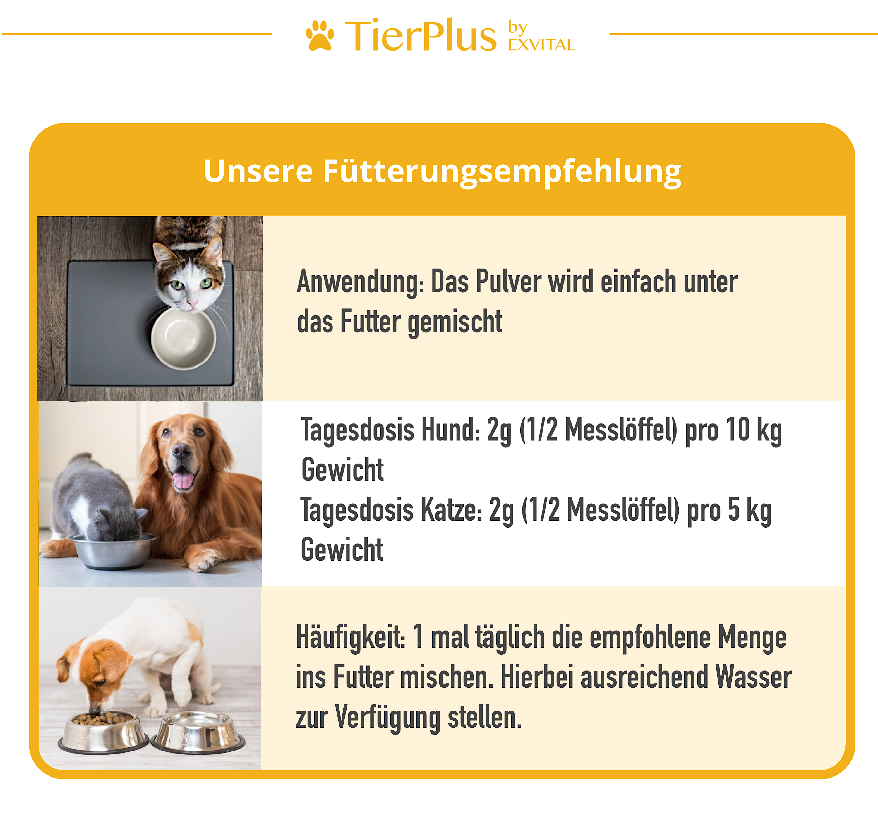 EXVital - Wholesale Pet Supplement - Cat/Dog - EXVital TierPlus Gut Active Powder3