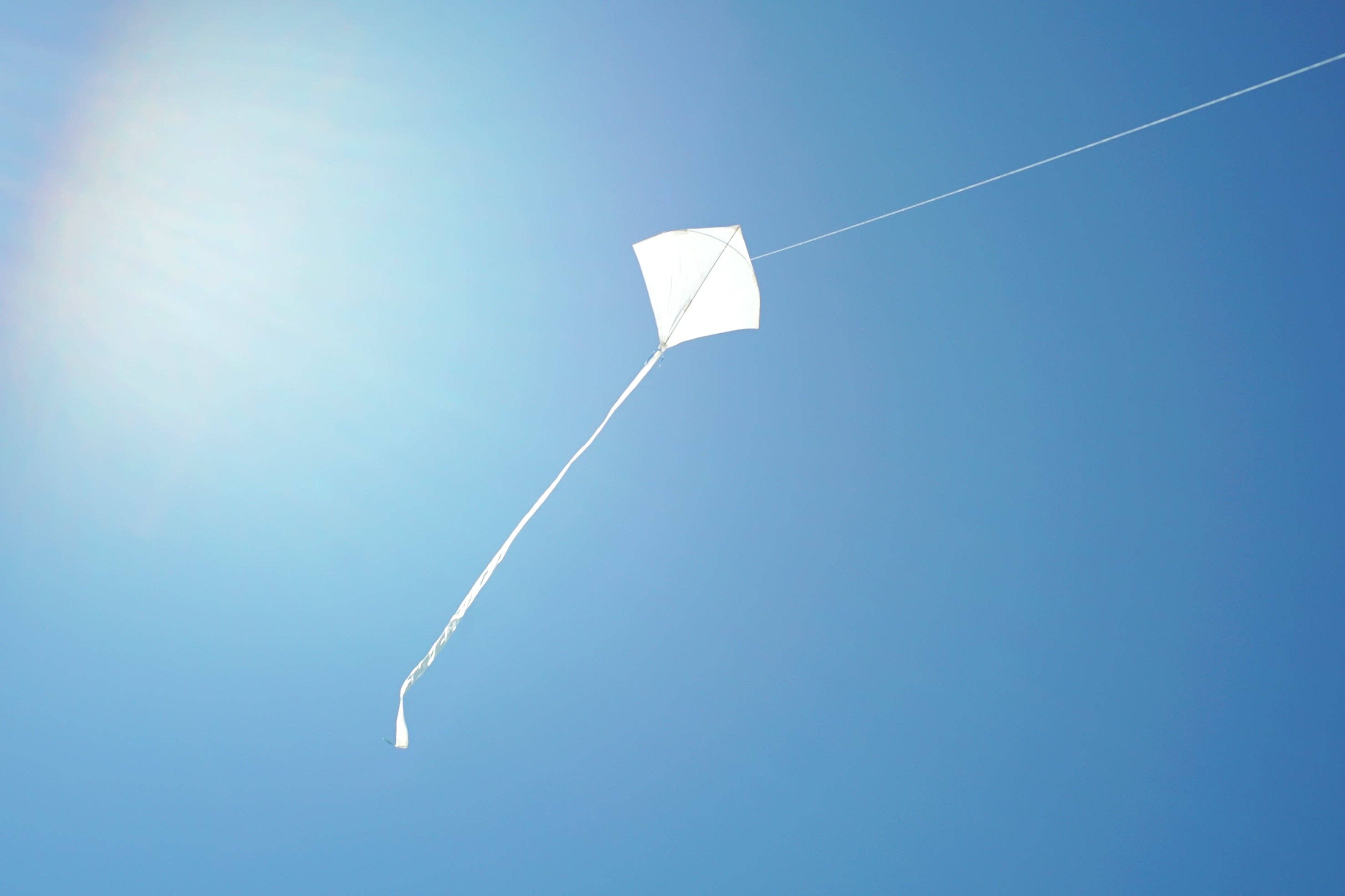 The Play Group - Wholesale Kite - Sail Kites1