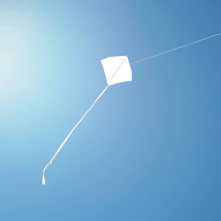 The Play Group - Wholesale Kite - Sail Kites1