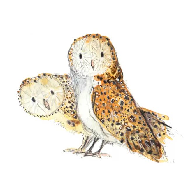 Rana and Elie Owls Card for all Occasions for wholesale by Catherine Rayner Trading Ltd
