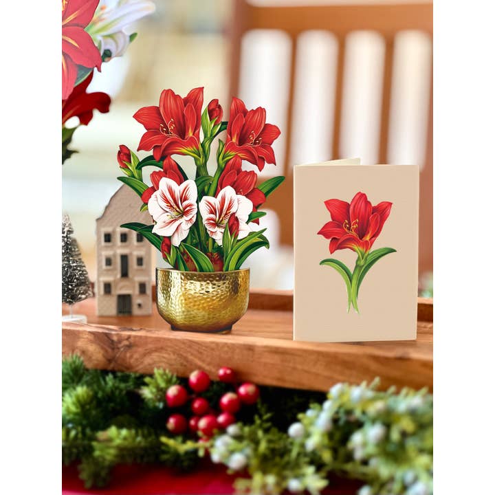FreshCut Paper LLC - Wholesale Everyday Greeting Card - Mini Scarlett Amaryllis (10 Pop-up Greeting Cards)