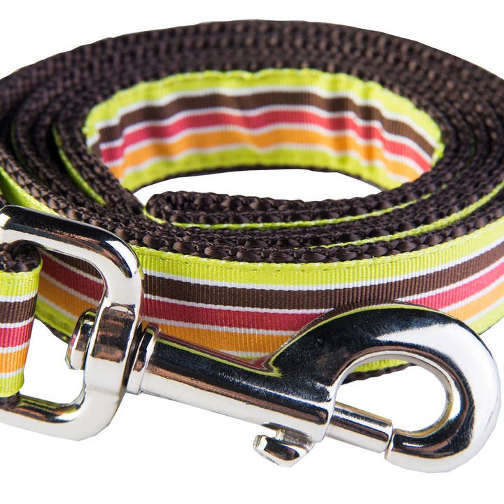 Correa de perro Margarita Mix para venta al por mayor de Paw Paws USA