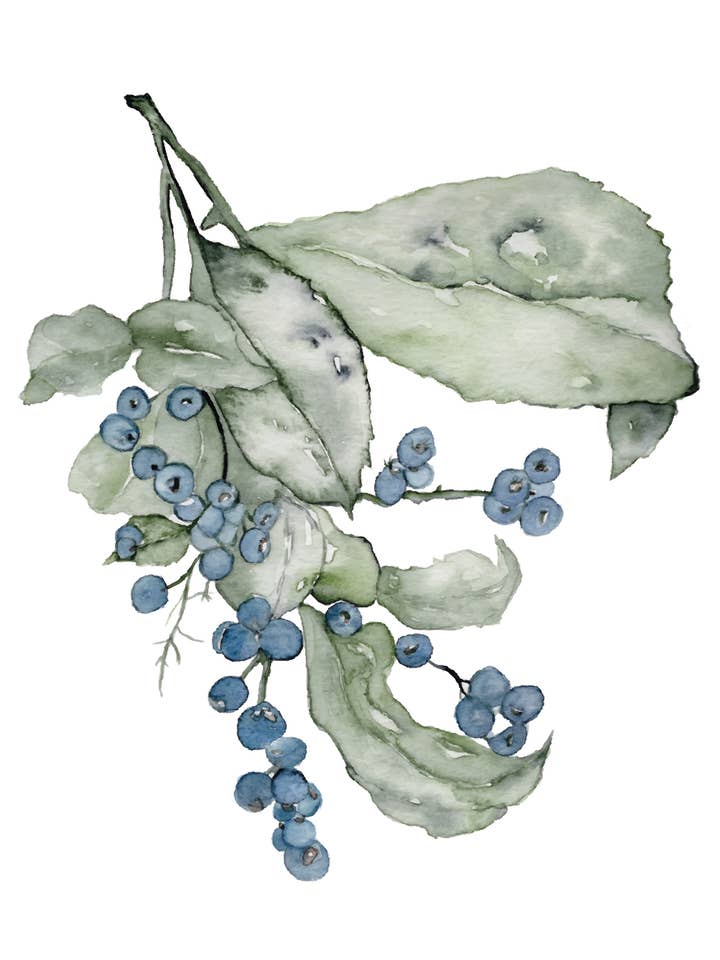 Winter Blue Branch – Watercolor Fine Art Print for wholesale by StudioReta