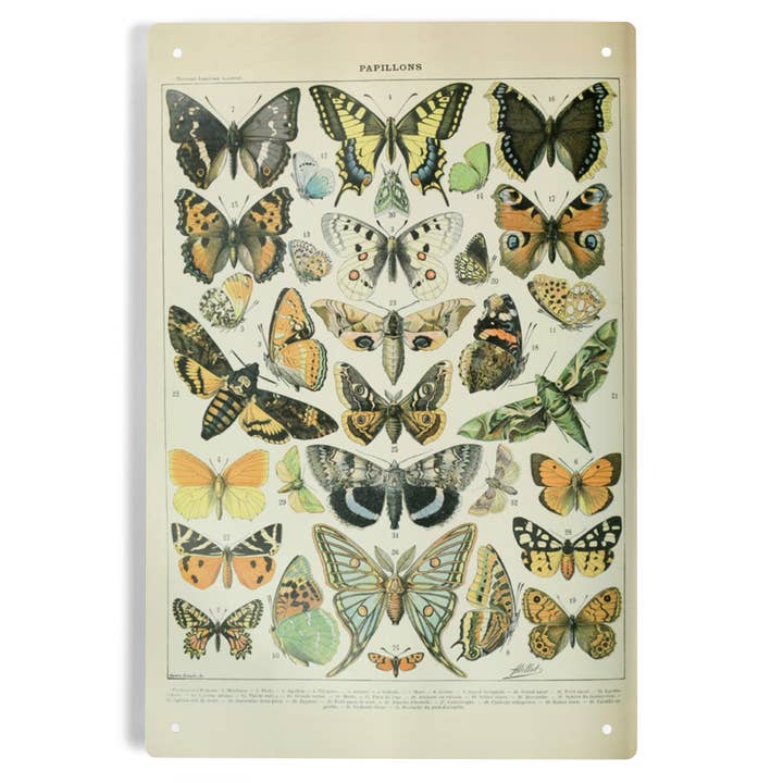 METAL SIGN ART Butterflies, A, Vintage Bookplate for wholesale by Lantern Press