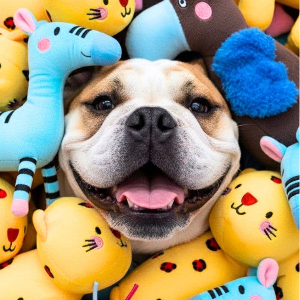 JAMPY - Wholesale Pet Plush Toy - Dog - Giampiero the Parrot Plush Toy for Dogs by Jampy3