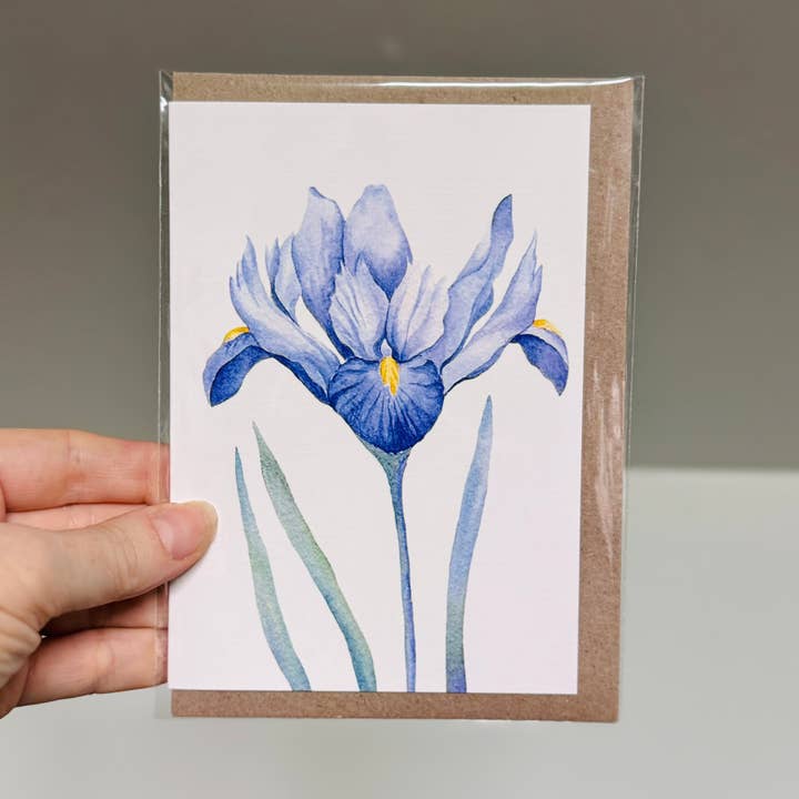 Scattered Seed Co - Wholesale Stationery/notecard set - IRIS greeting cards set of 4 Mini or Regular size11