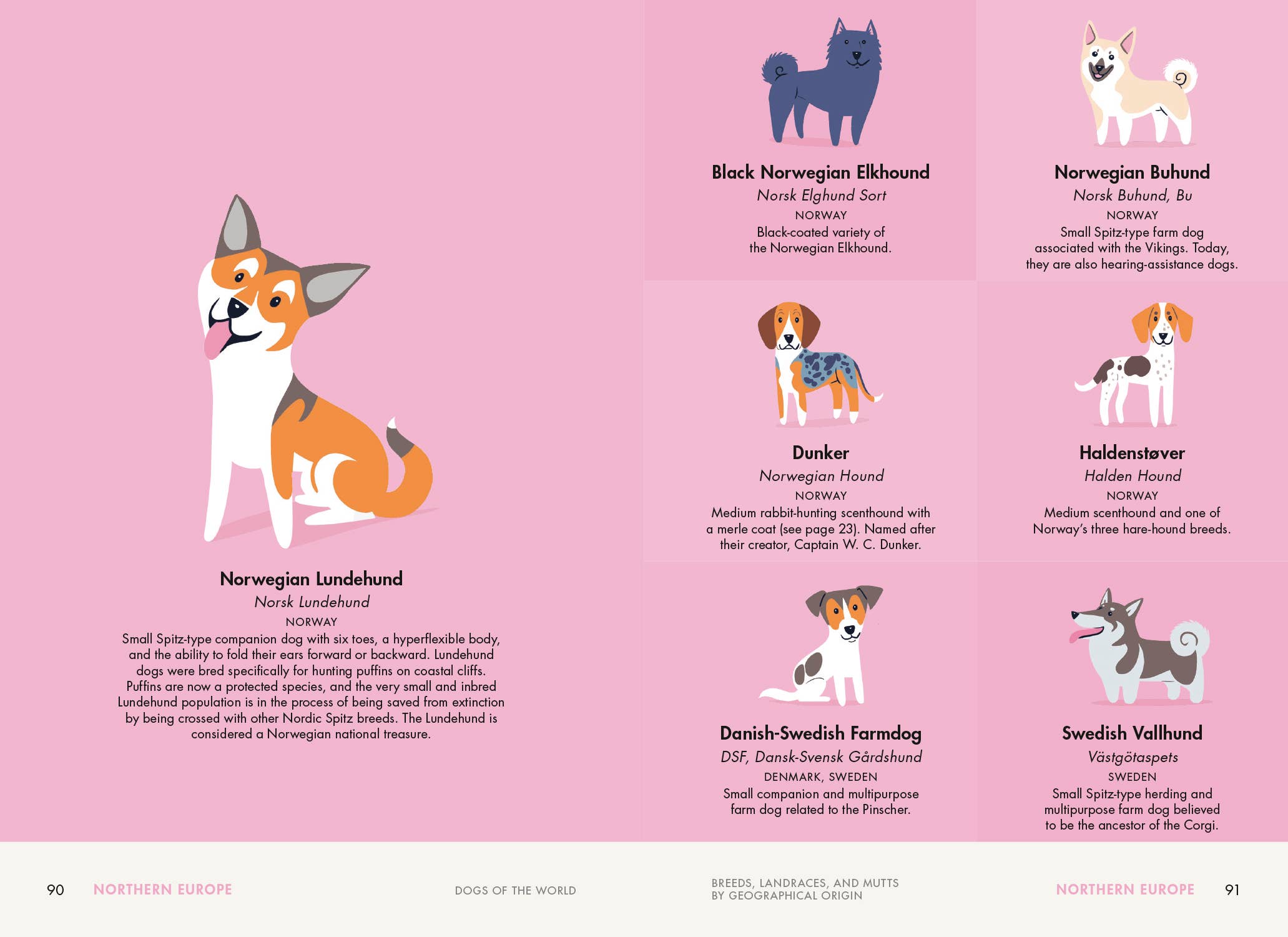 Penguin Random House LLC - Wholesale Pets - Dogs of the World4