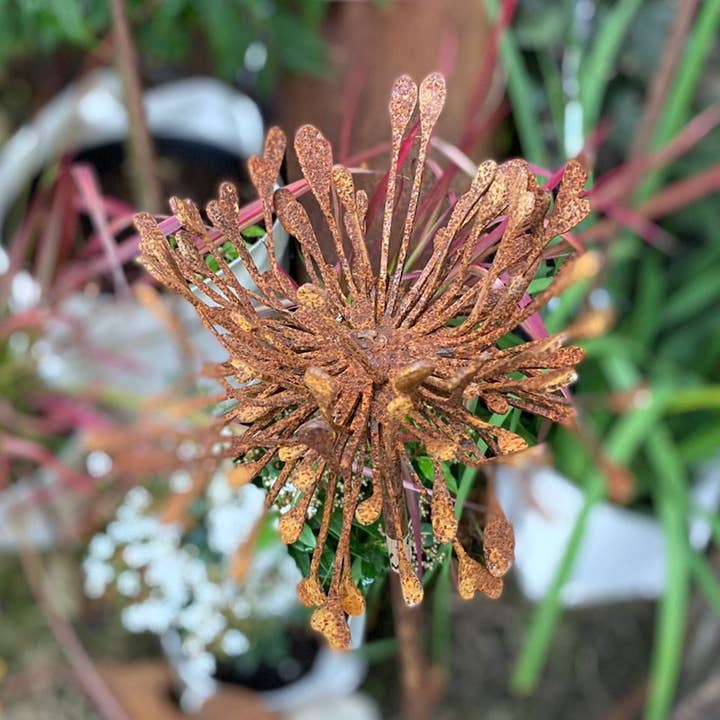 Beechwood Trinkets - Vendita all'ingrosso Ornamenti/decorazioni per esterni - Fiore 3D Allium0