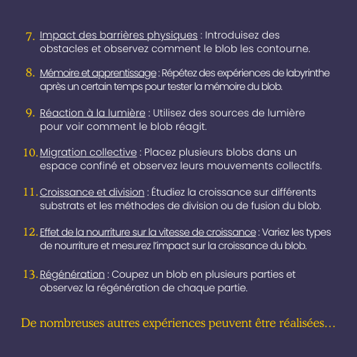 MISTER BLOB - Wholesale DIY Craft Kit - Kids - The eco blob kit5