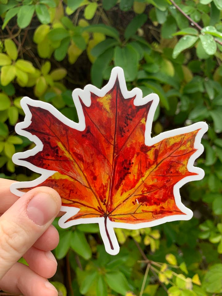 Red Maple Leaf Sticker for wholesale by Willough Designs