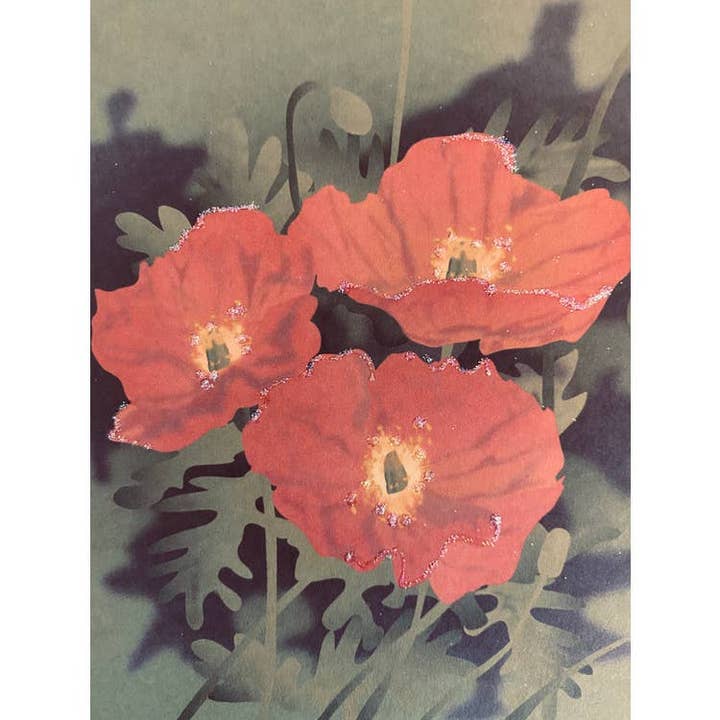 Studio Daedre - Wholesale Everyday Greeting Card - Iceland Poppy, Everyday Card - Loose Card