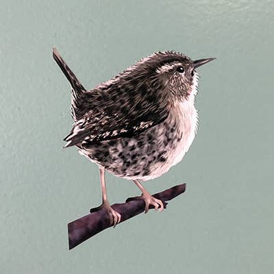 MYRTE - Wholesale Wall Decal/Stickers - Birds in Blue and Brown Illustration Wall Decal6