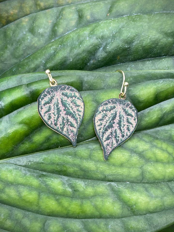 Piper Crocatum por atacado de Plntbaby Jewelry