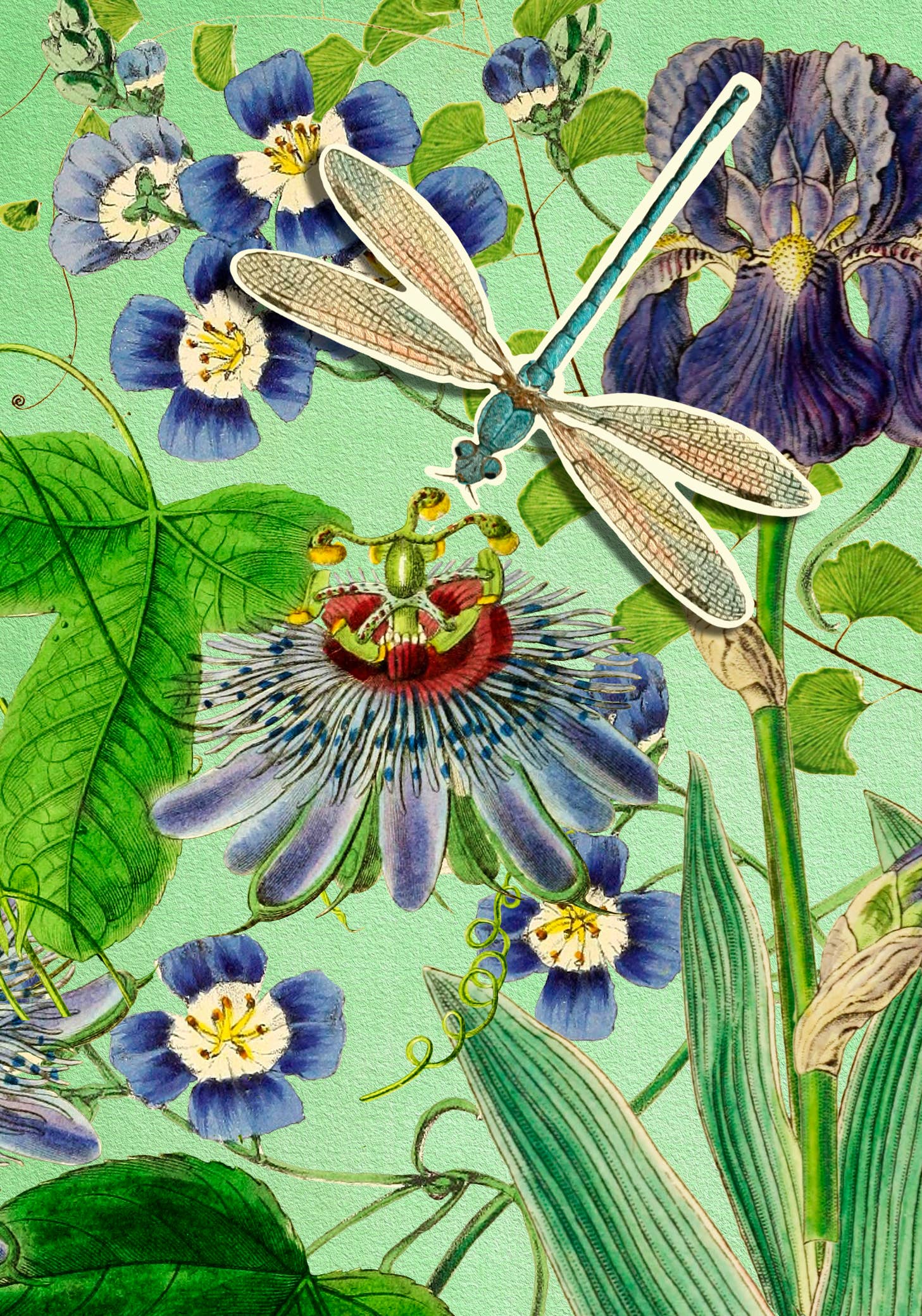 Madame Treacle - Wholesale Everyday Greeting Card - PU004P ~ Pop Up Greeting Card with Dragonflies1