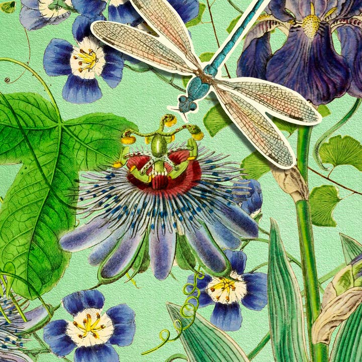 Madame Treacle - Wholesale Everyday Greeting Card - PU004P ~ Pop Up Greeting Card with Dragonflies1