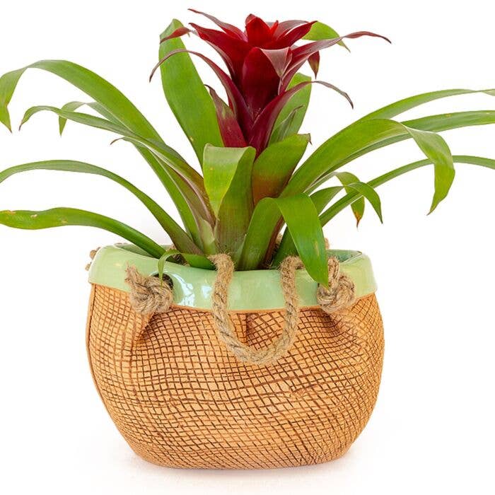 Green Bag Ceramic Planter. Flower Pot / Terracotta for wholesale by STP