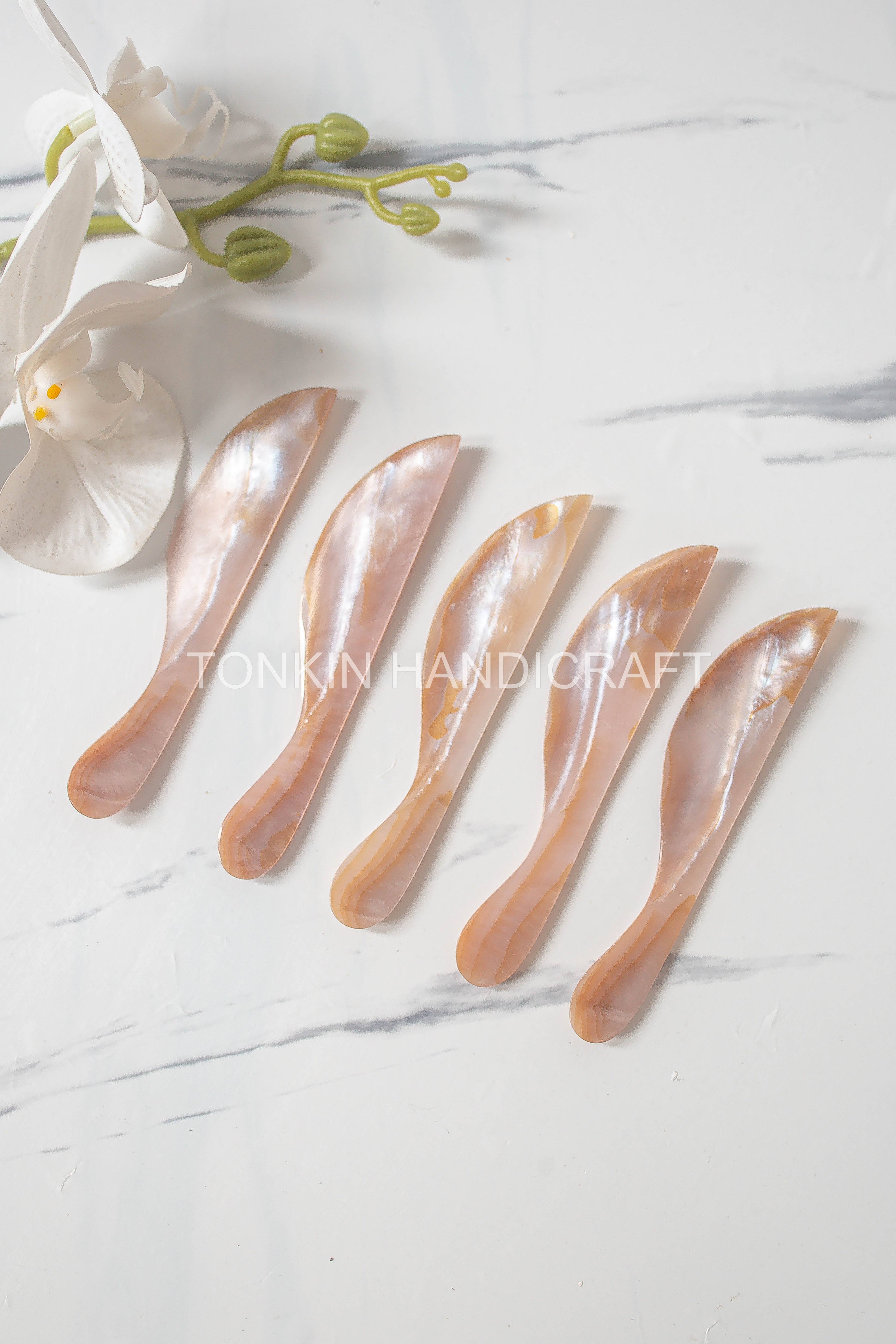 Tonkin Handicraft - Wholesale Cheese Spreader - Seashell Butter Spreader 50