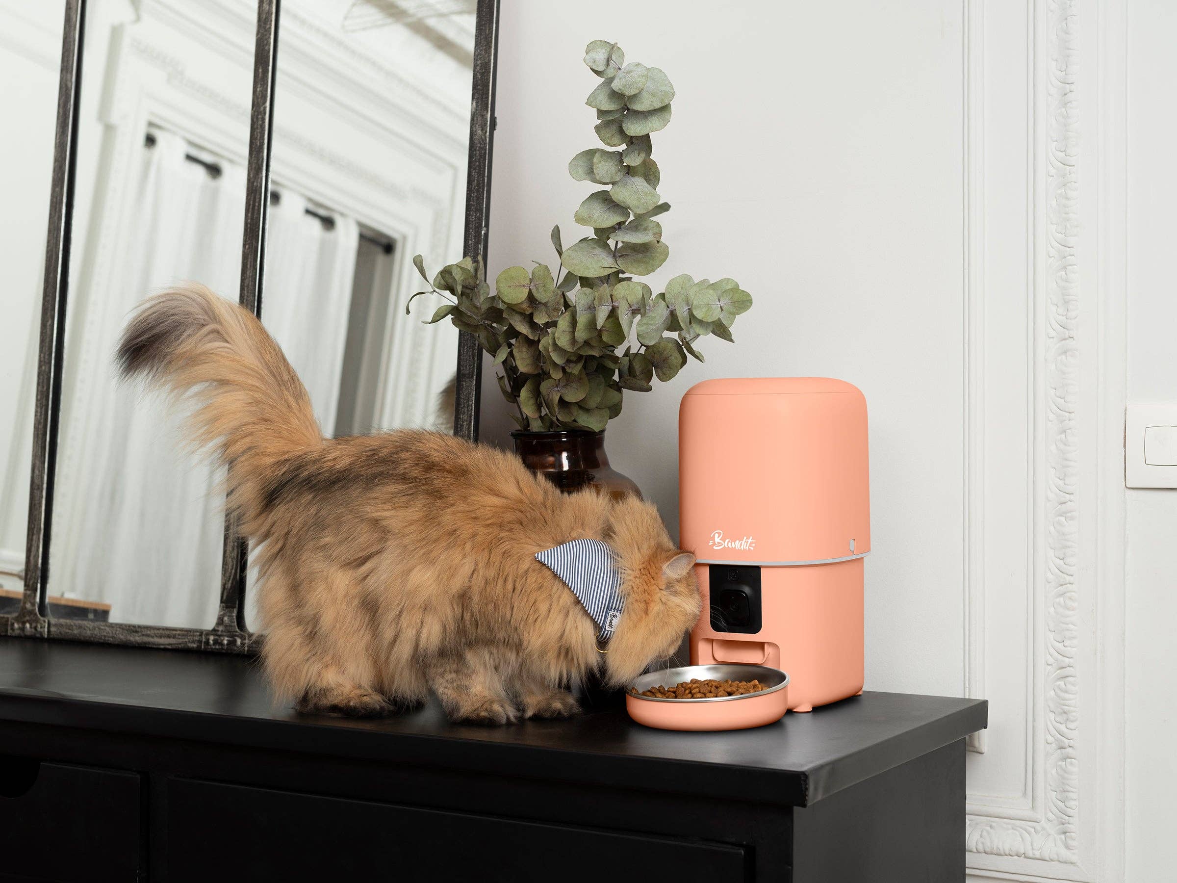 French Bandit - Wholesale Pet Bowl - Cat/Dog - Smart pet feeder1