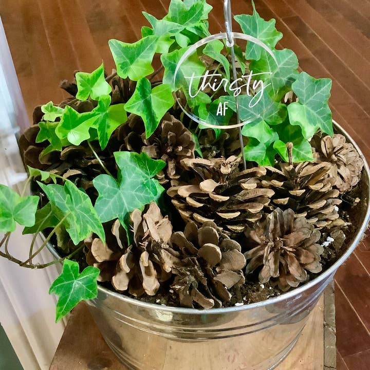Crawford Custom Engraving - Venta al por mayor Postes de jardín/césped - Marcadores para plantas y jardines, juegos de palabras con plantas, divertidos marcadores de plantas