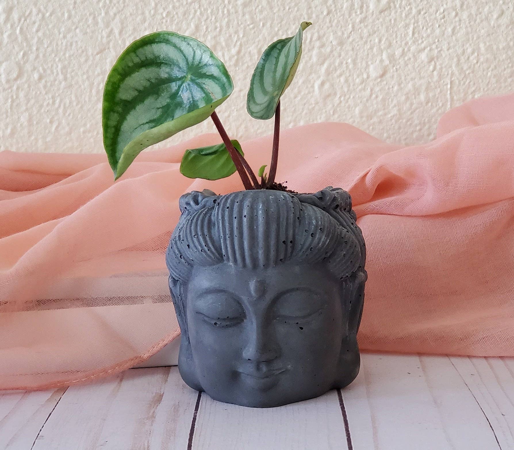 House Americana - Wholesale Plant Pot - Serenity Buddha Head Concrete Planter With Drainage0