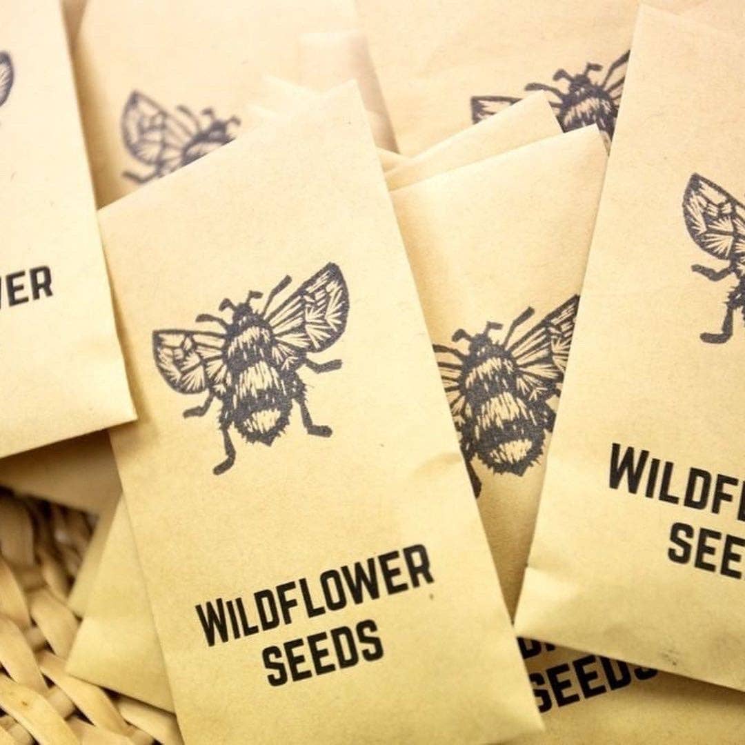 Jackdaw and Bear - Wholesale Plant Seeds - Wildflower Seeds - nature friendly wedding favours and thank3
