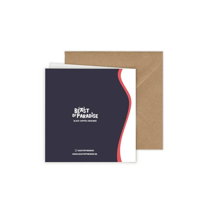 Beast of Paradise - Vendita all'ingrosso Biglietti di auguri - Biglietti di Auguri con Uccelli, Set di 10 Biglietti, Biglietti di Auguri con Animali13