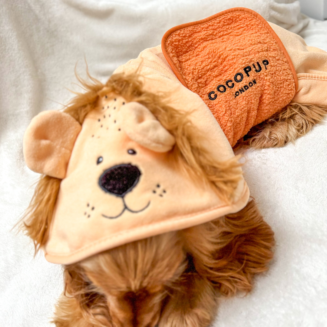 Cocopup London - Venta al por mayor Sudadera - Perros - Bata para secar perros Roary el León13