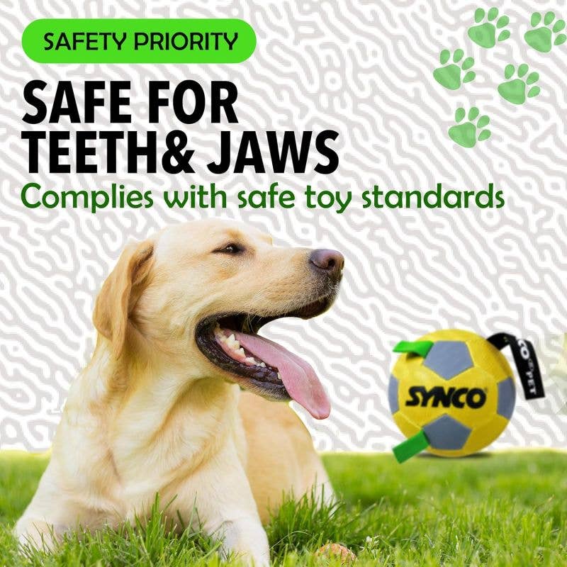 GICO Spielwaren - Wholesale Pet Fetch Ball - Dog - Dog Ball with Loops for Medium and Large Dogs #55