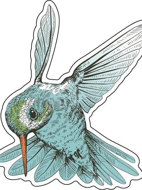 Colibri en vol pour la vente par Inspire 360