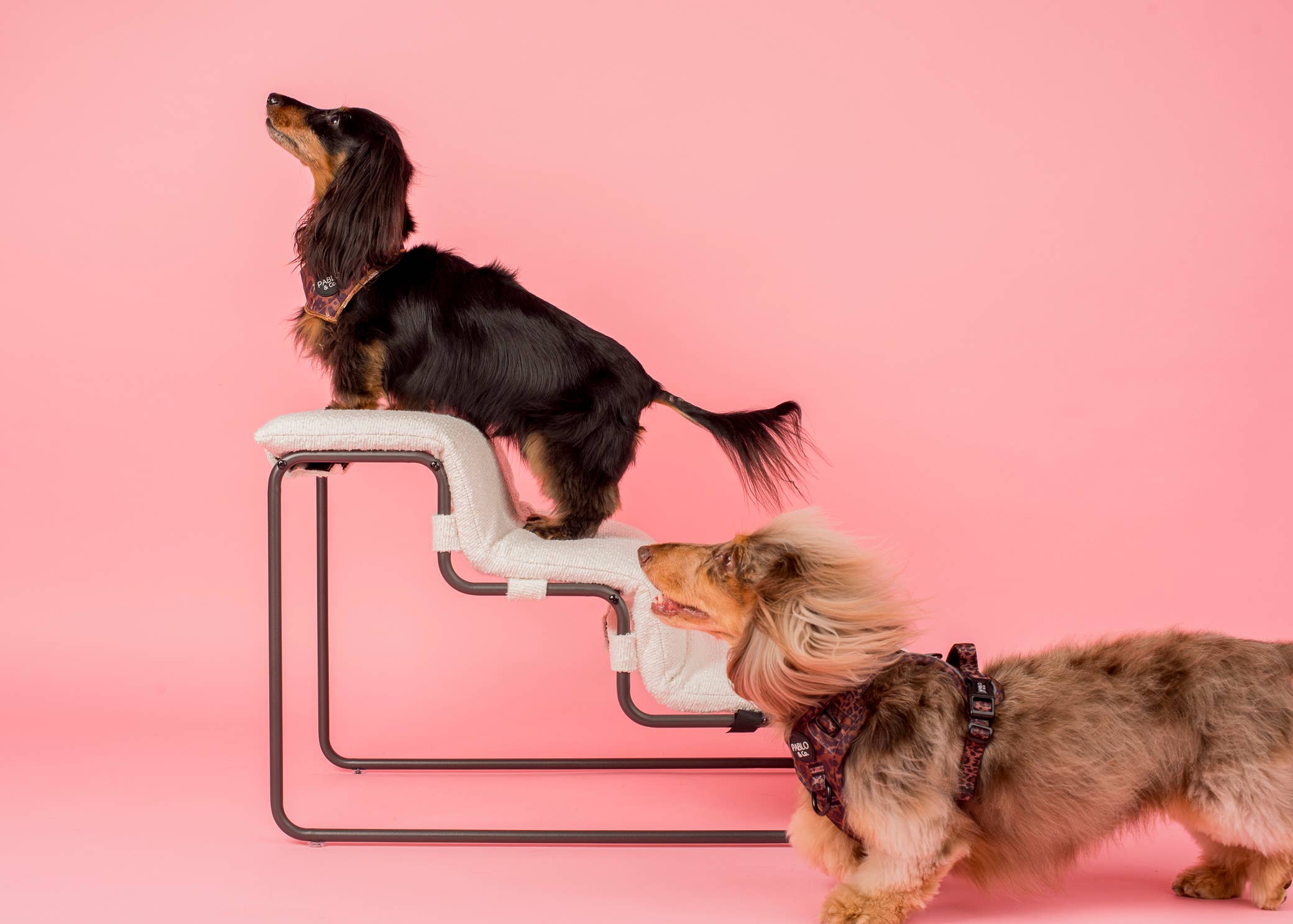 Pablo & Co. Boutique - Wholesale Pet Bed - Cat/Dog - Pet Stairs for Cats & Dogs - White Boucle2