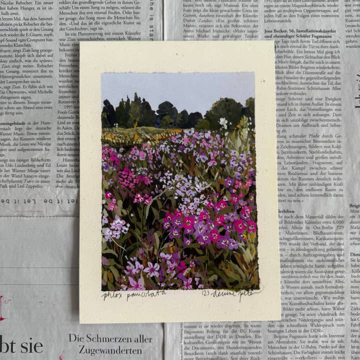 Phlox paniculé print pour la vente par denaisx