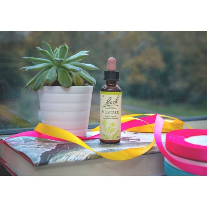 Ecohesens - Wholesale Oral Supplement/Vitamin - Mustard 20 ml - Bach Original3