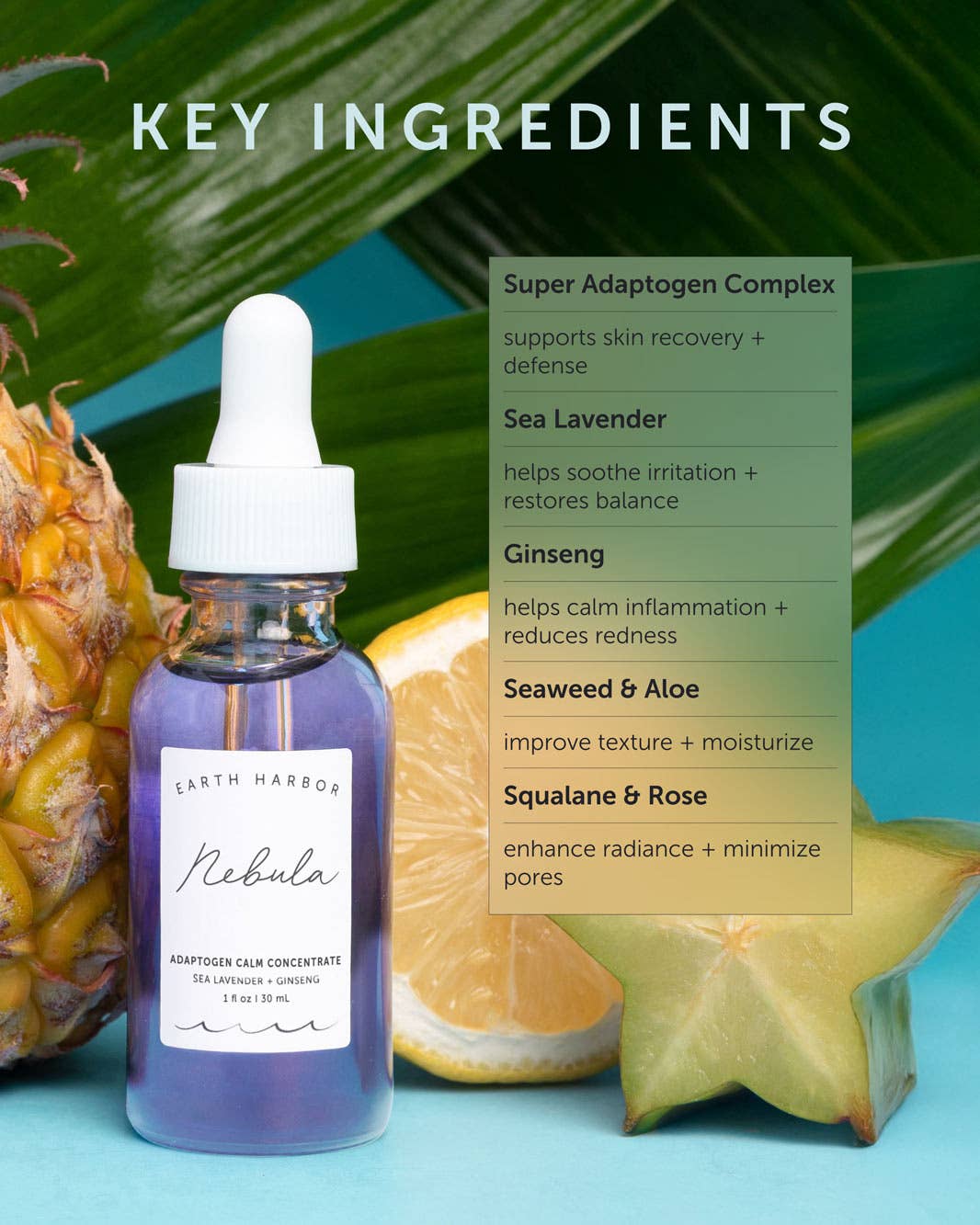 Earth Harbor Naturals – wholesale Ansiktsserum/-koncentrat – NEBULA Adaptogen Calm Concentrate: Havslavendel + Ginseng1