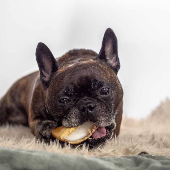 Kivo Petfood - Wholesale Pet Treats - Dog - Dog snack - Veal hooves with Sheep Fat - 3 pieces1