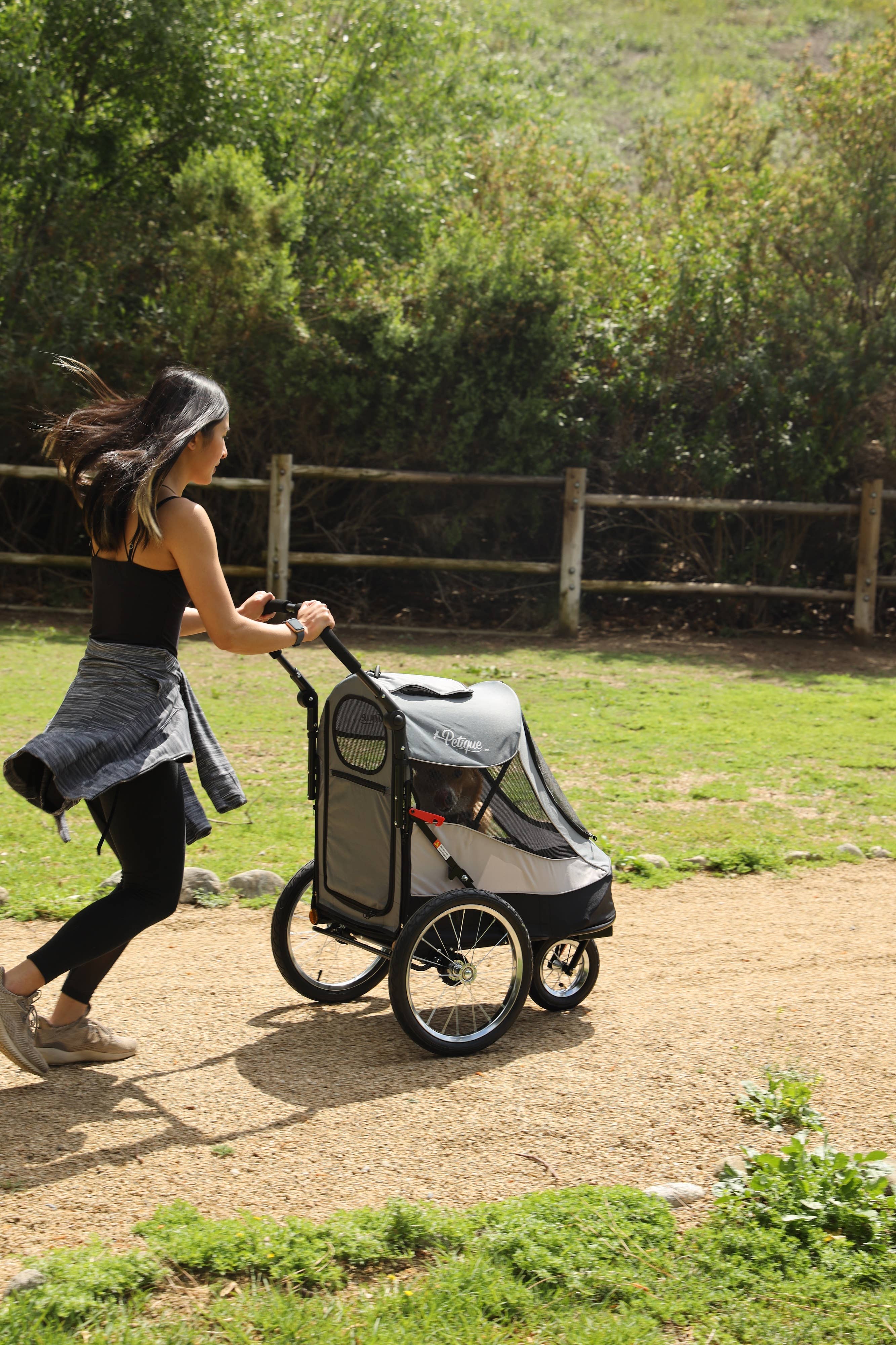 Only An Ocean Europe - Wholesale Pet Carrier - Cat/Dog - Petique Trailblazer Pet Jogger27