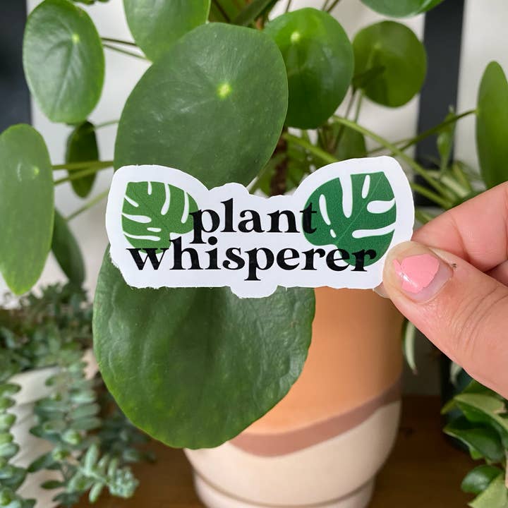 Plant Whisperer Sticker for wholesale by Clay Collection Co.