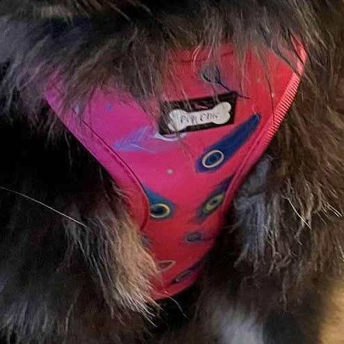 Peacock Power Adjustable Harness - hot pink påfugl fjer hundesele for engroshandel hos Pup Chic Boutique