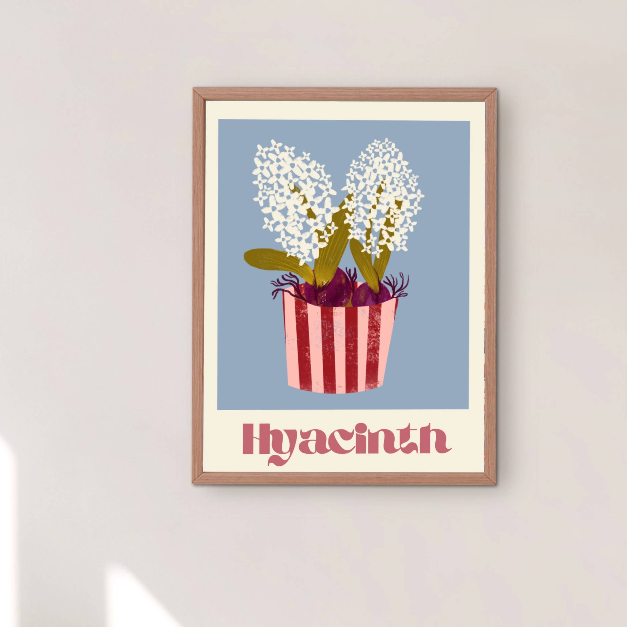 Carole Hillman - Venta al por mayor Ilustración - Estampado de jacintos0