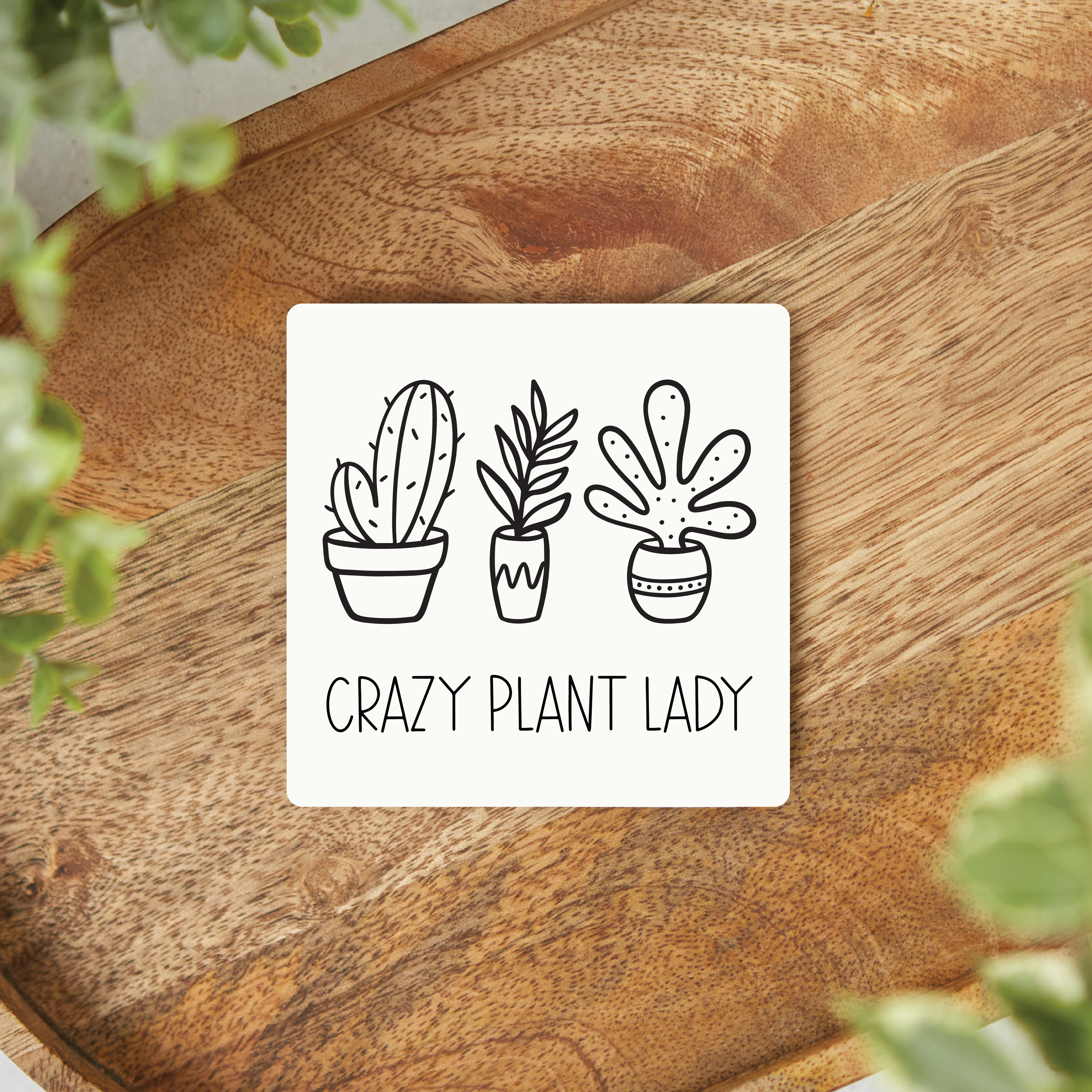 Knotty Design Co. - Wholesale Magnet - Crazy Plant Lady Magnet1