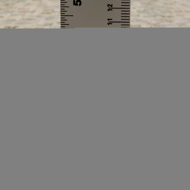 Oriental Weavers - Wholesale Area Rug - Maeve / MAE046