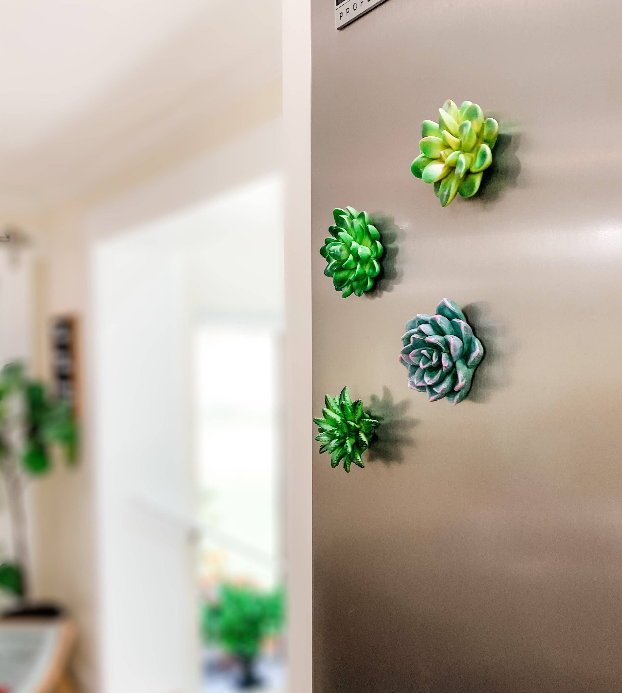 Woodbe Co - Wholesale Magnet - Mini 3D Succulent Resin Magnets3