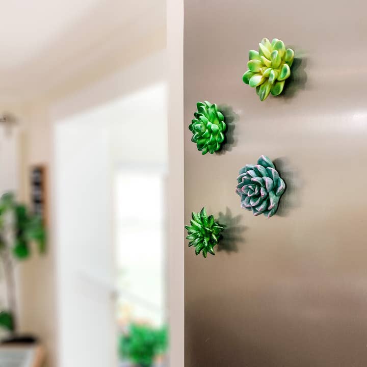Woodbe Co - Wholesale Magnet - Mini 3D Succulent Resin Magnets3