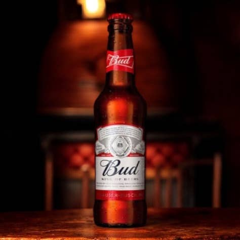 Haus der Biere Berlin - Wholesale Beer - Bud Beer 0.33L - The American Original With 5% Vol.4