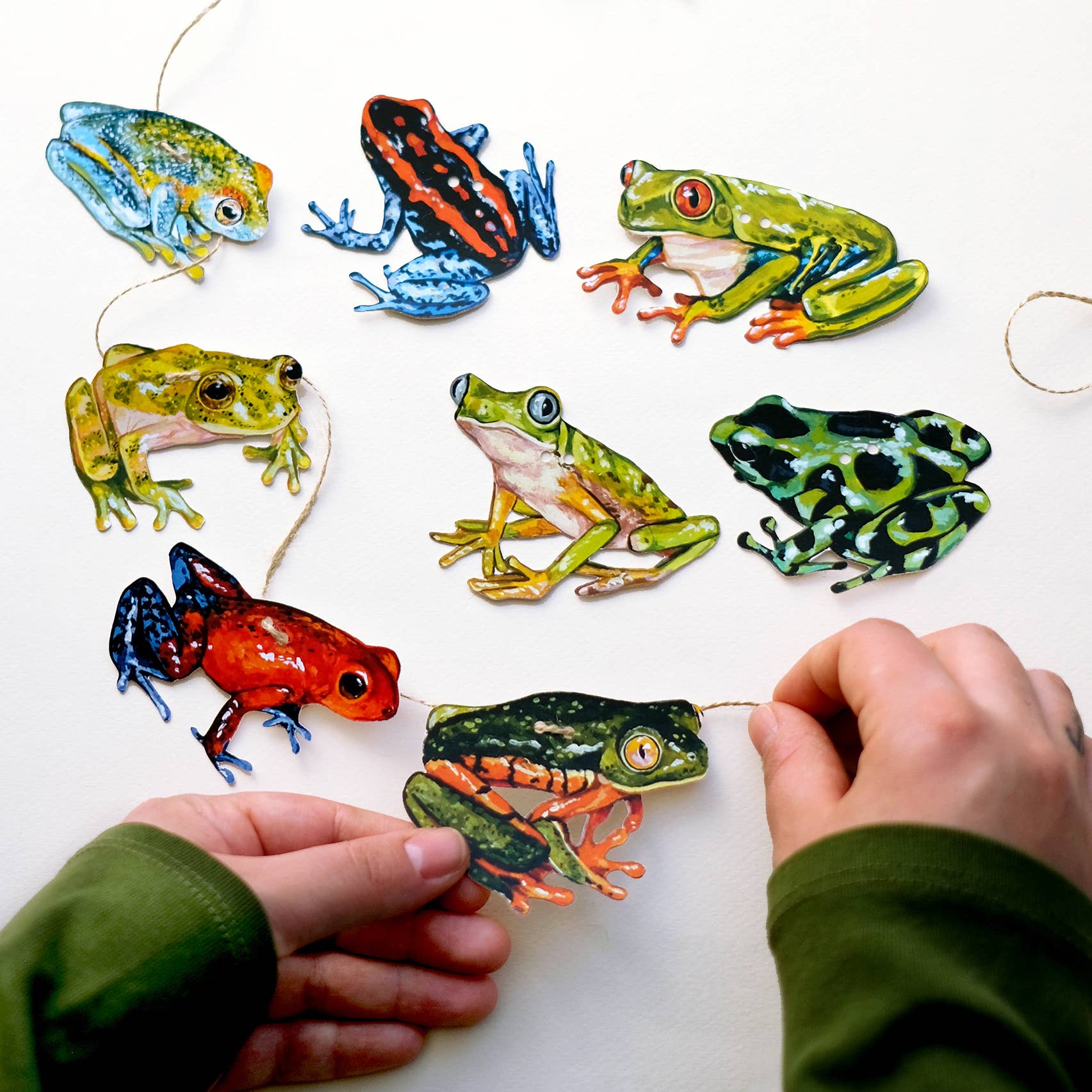 Doro Marcello - Wholesale Bunting/Garland - Frog Garland | DIY Paper Garland Kit | Birthday Decor5