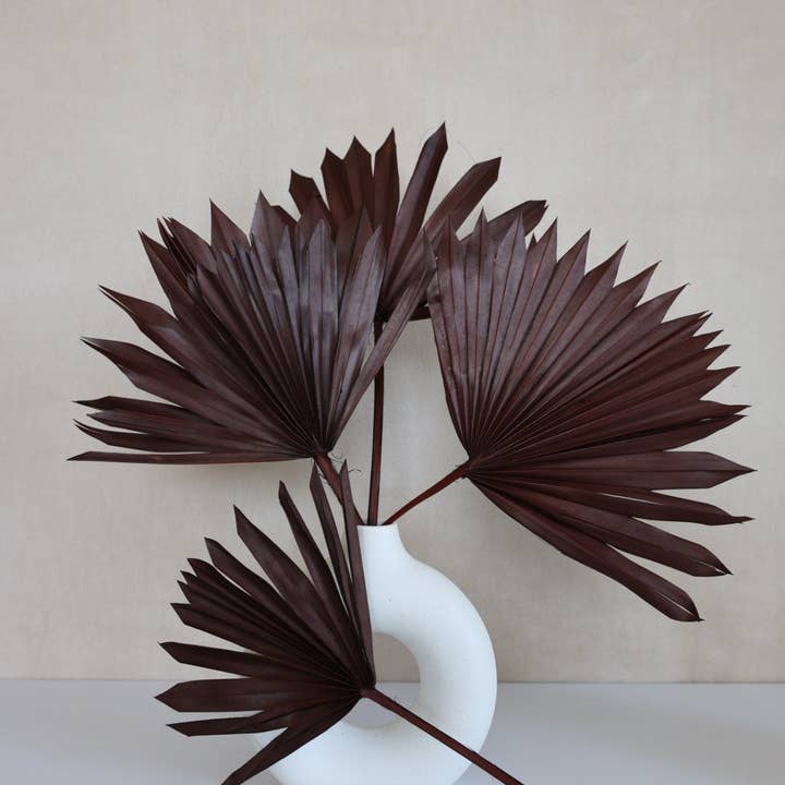 FlowerFantaSee - Wholesale Dried/Pressed Flowers - Palm Leaves 3