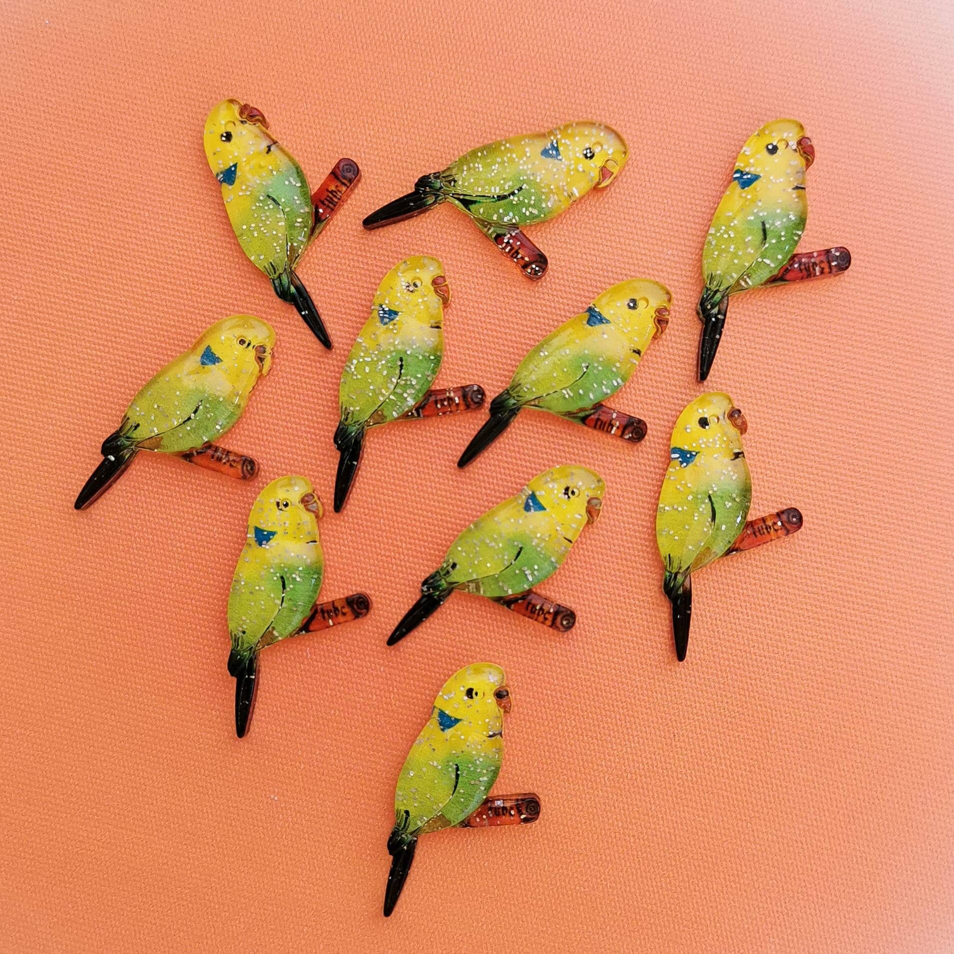 Pampa Mia - Vente Matériels de bricolage - Ensemble de 10 perruches en acrylique3